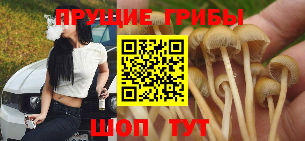 Псилоцибиновые грибы Cubensis  Галлюциногенные грибы мицелий  Кузнецк  Вход с VPN 
